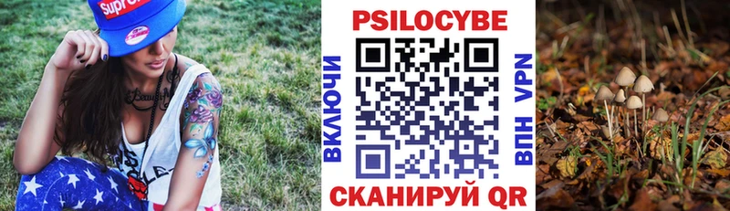 купить наркотик  Сатка  Псилоцибиновые грибы GOLDEN TEACHER 